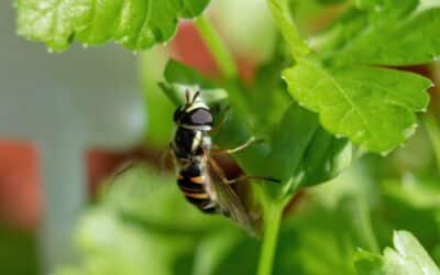 Trouver le chemin professionnel idéal pour soi